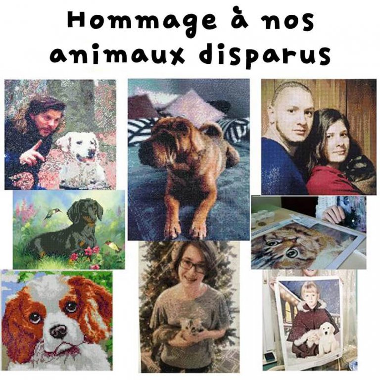 art et diamants diamond painting broderie diamant animaux collection personnalise animaux disparus chien chat art et diamants diamond painting broderie diamant animaux collection personnalise animaux disparus chien chat